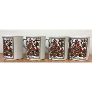 New Set 4 Vintage Botanical Print Coffee Mugs Nasturtium Indicum HH Japan 0136